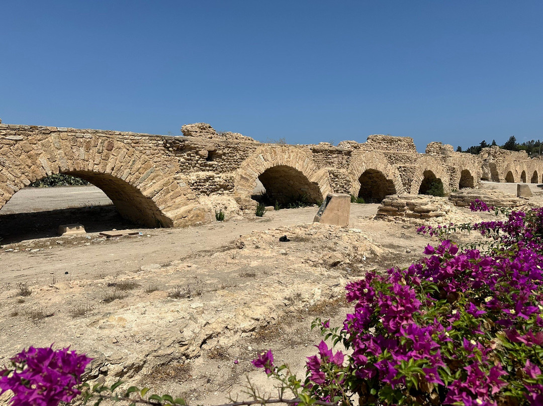 Carthage  Aqueduct-迦太基必去景点