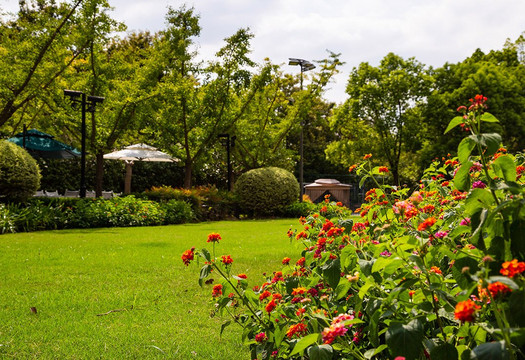 上海虹桥希尔顿逸林酒店主图