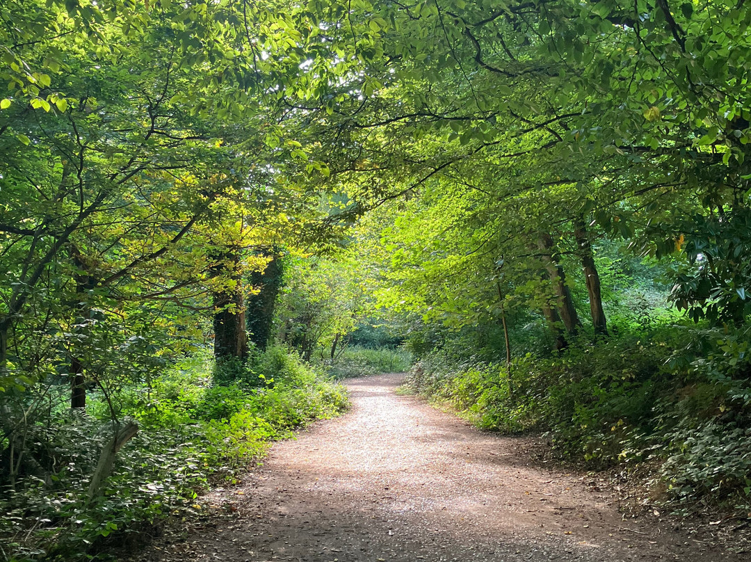 Trosley Country Park-Meopham必去景点