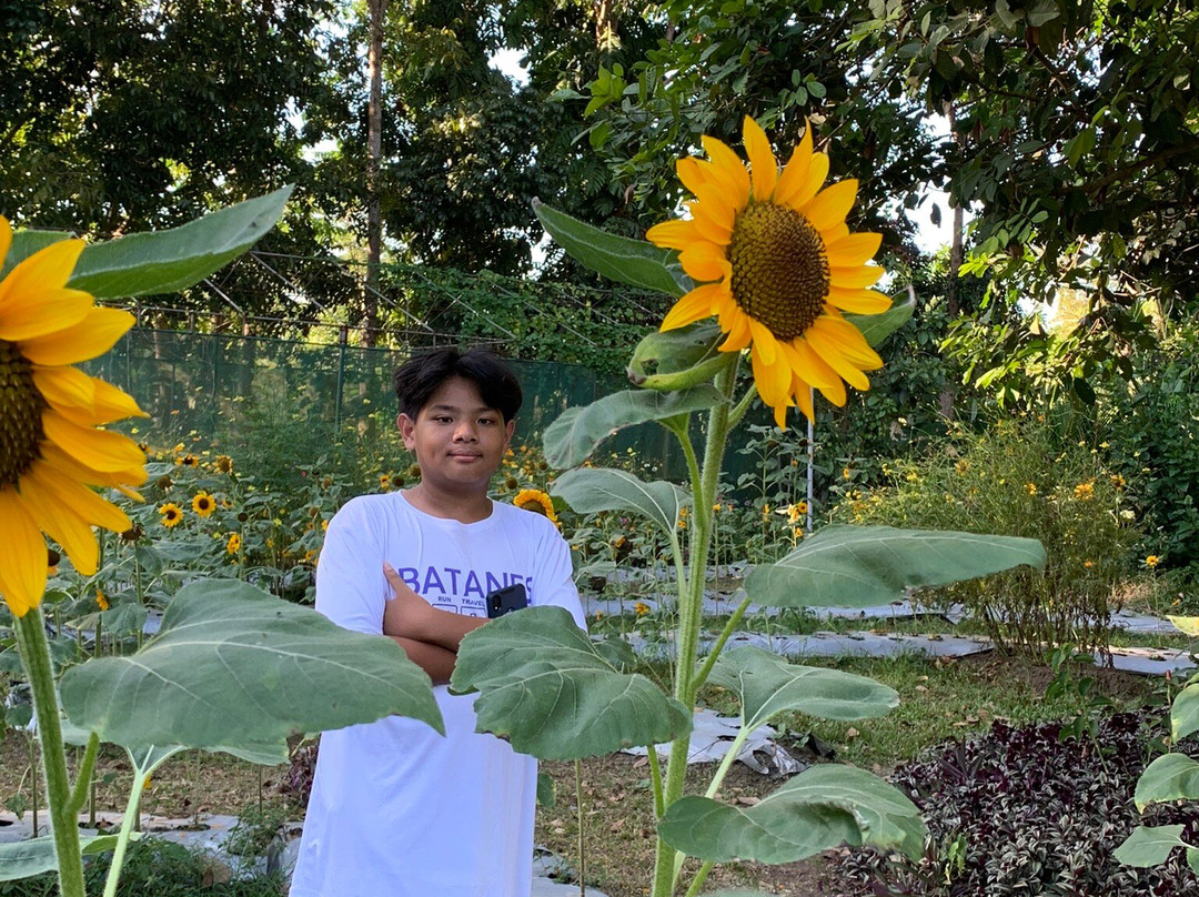 Sunshine Farm Philippines景点图片