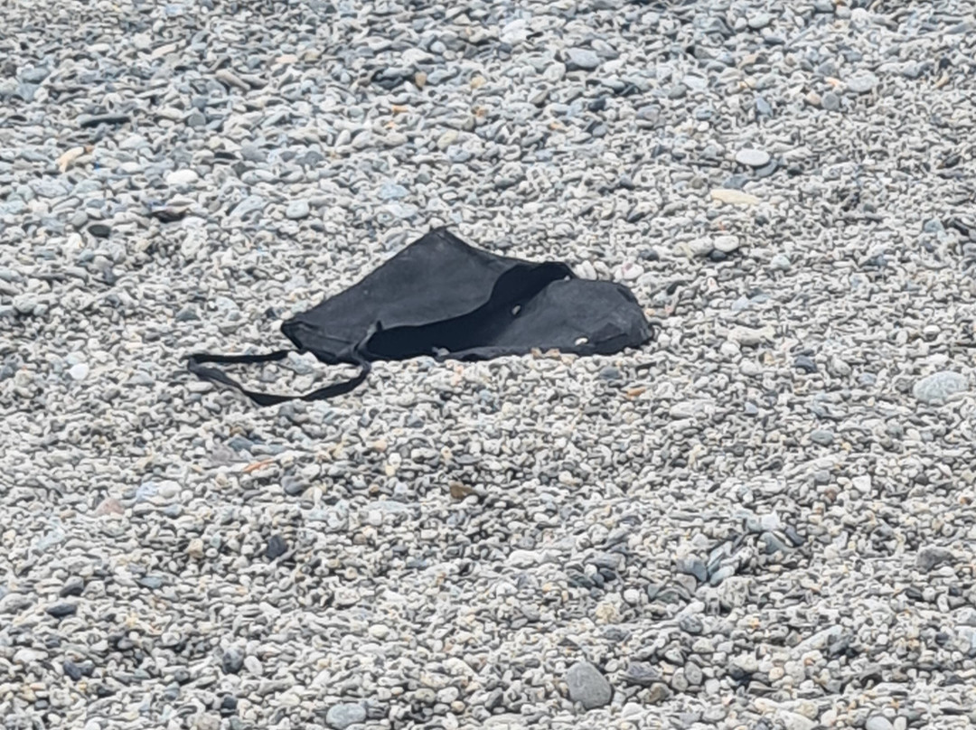Spiaggia di Marina di Gioiosa Ionica景点图片