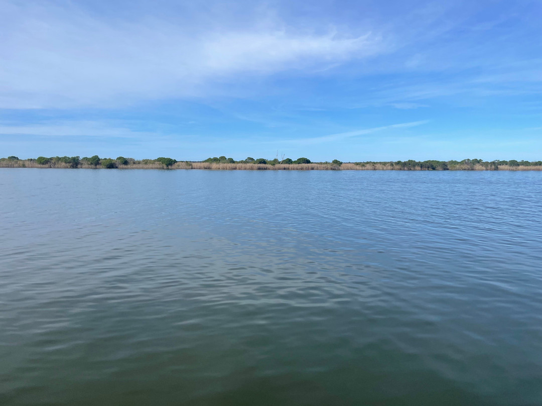 Hollands Landing景点图片
