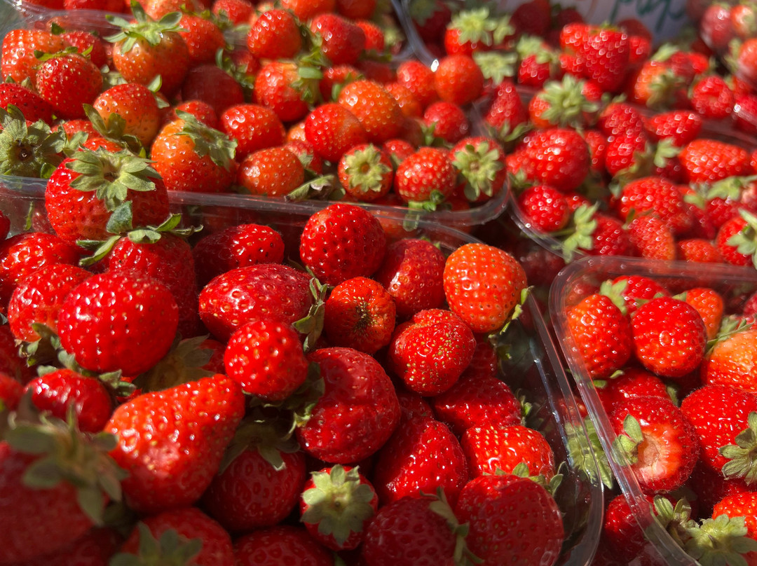 St. Jacobs Farmers Market景点图片