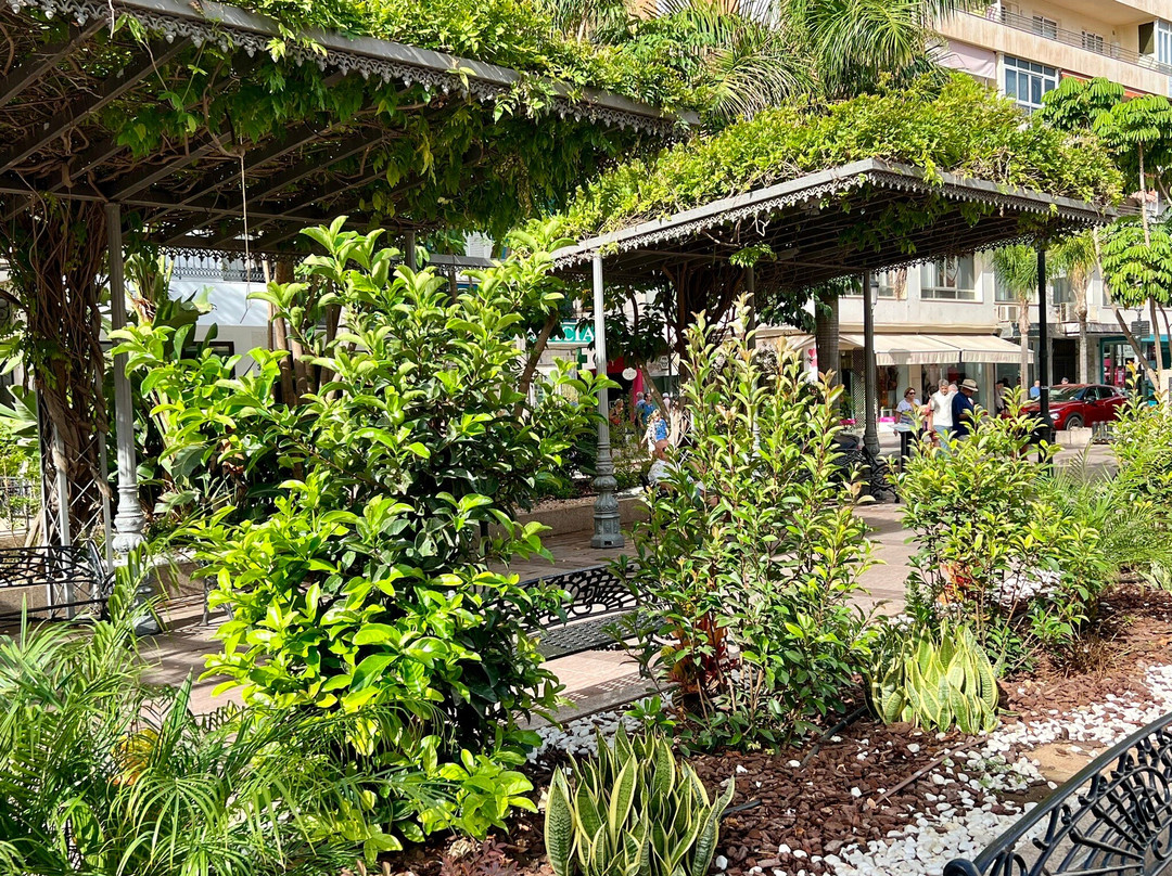 Plaza Constitucion景点图片