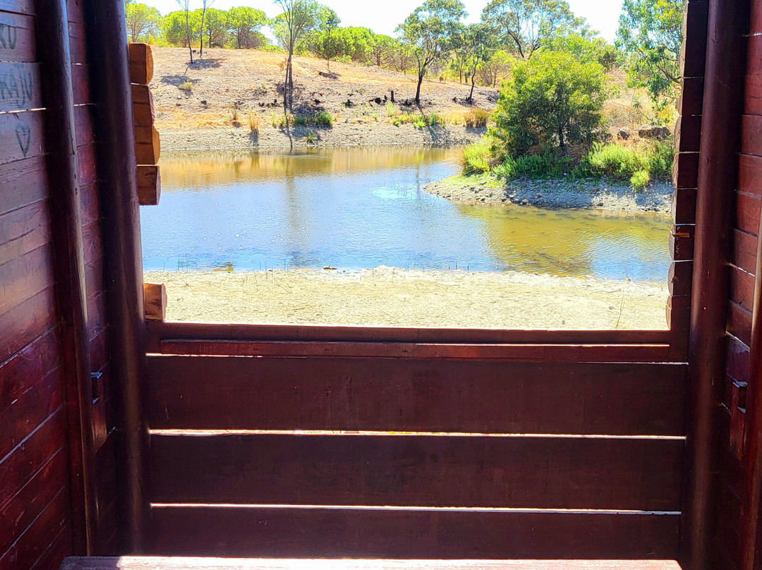 Parque Mata Da Conceicao-null必去景点