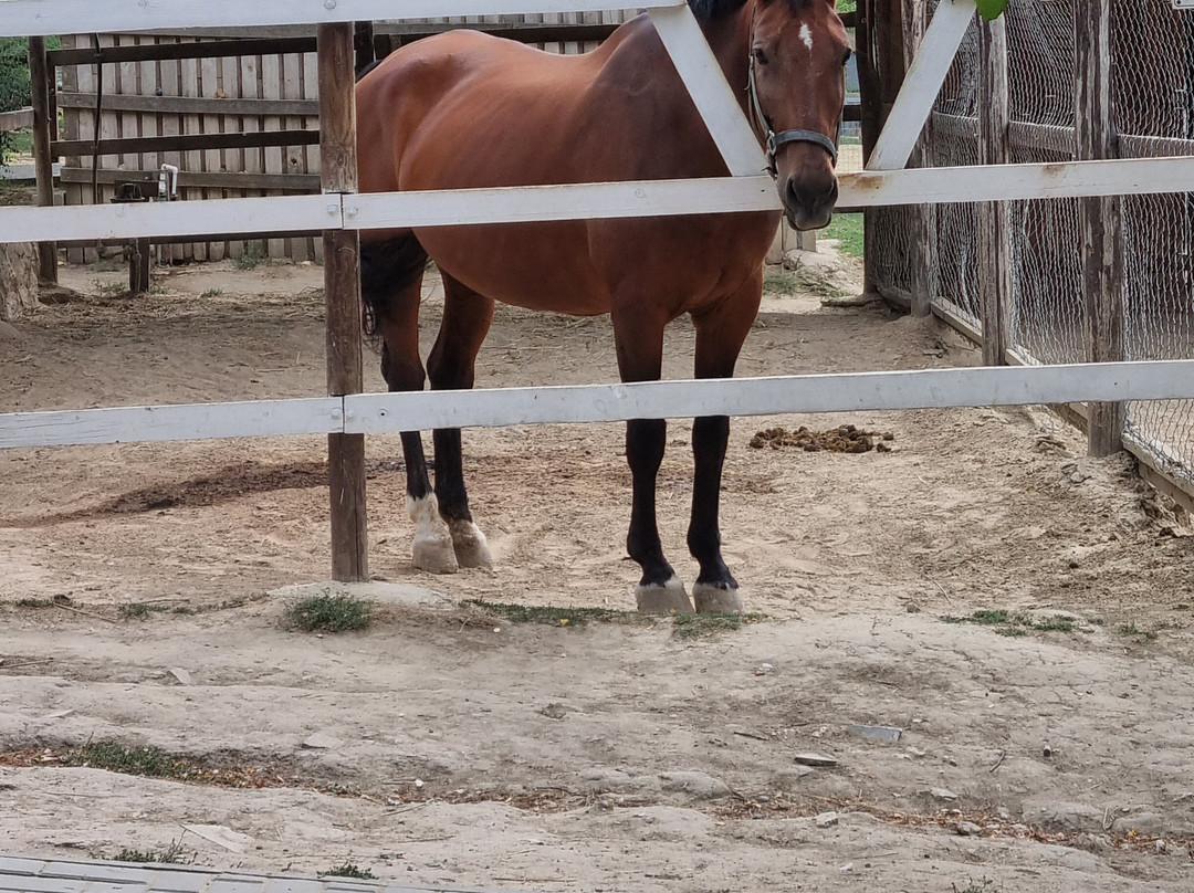 ZooClub-Bardar必去景点