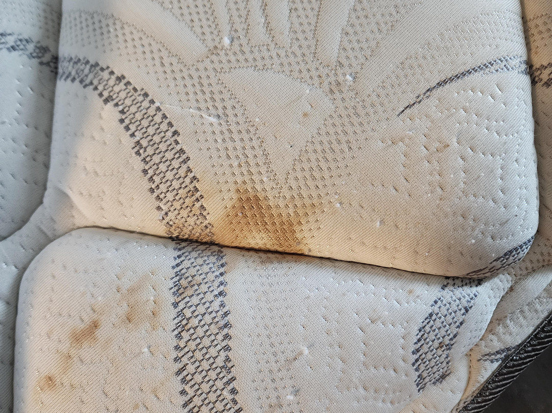 Holiday Inn Express & Suites Barrie By IHG主图