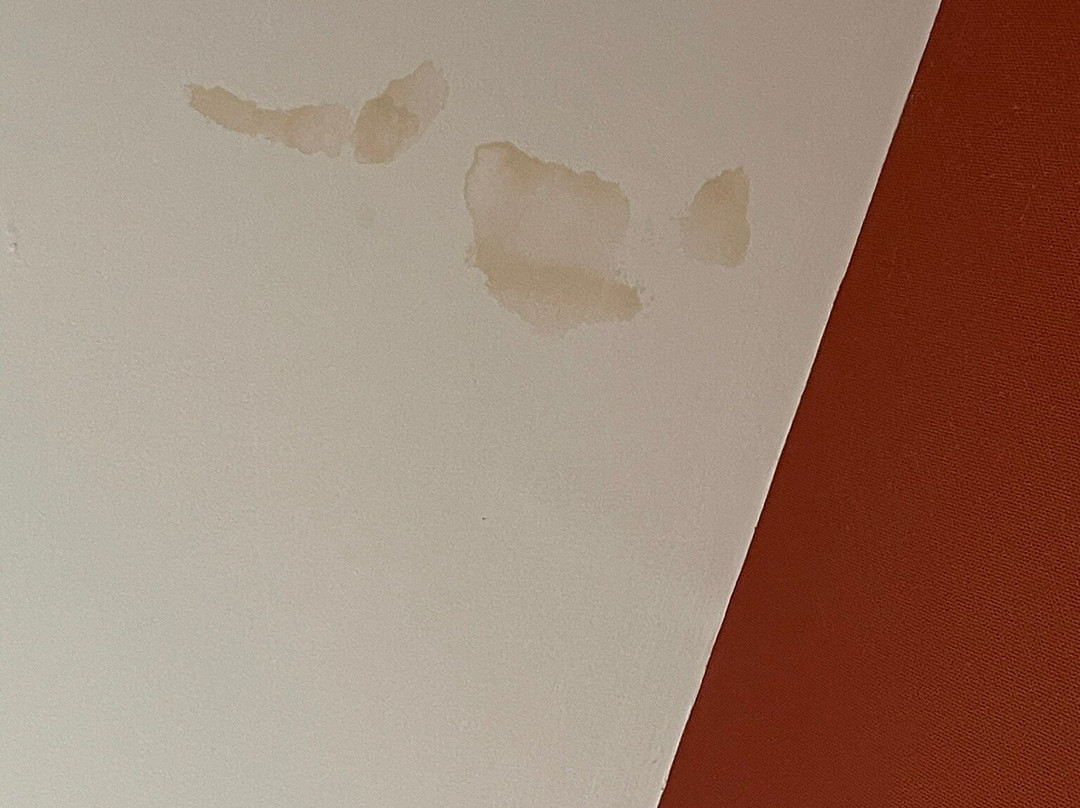 Auberge Du Manet主图