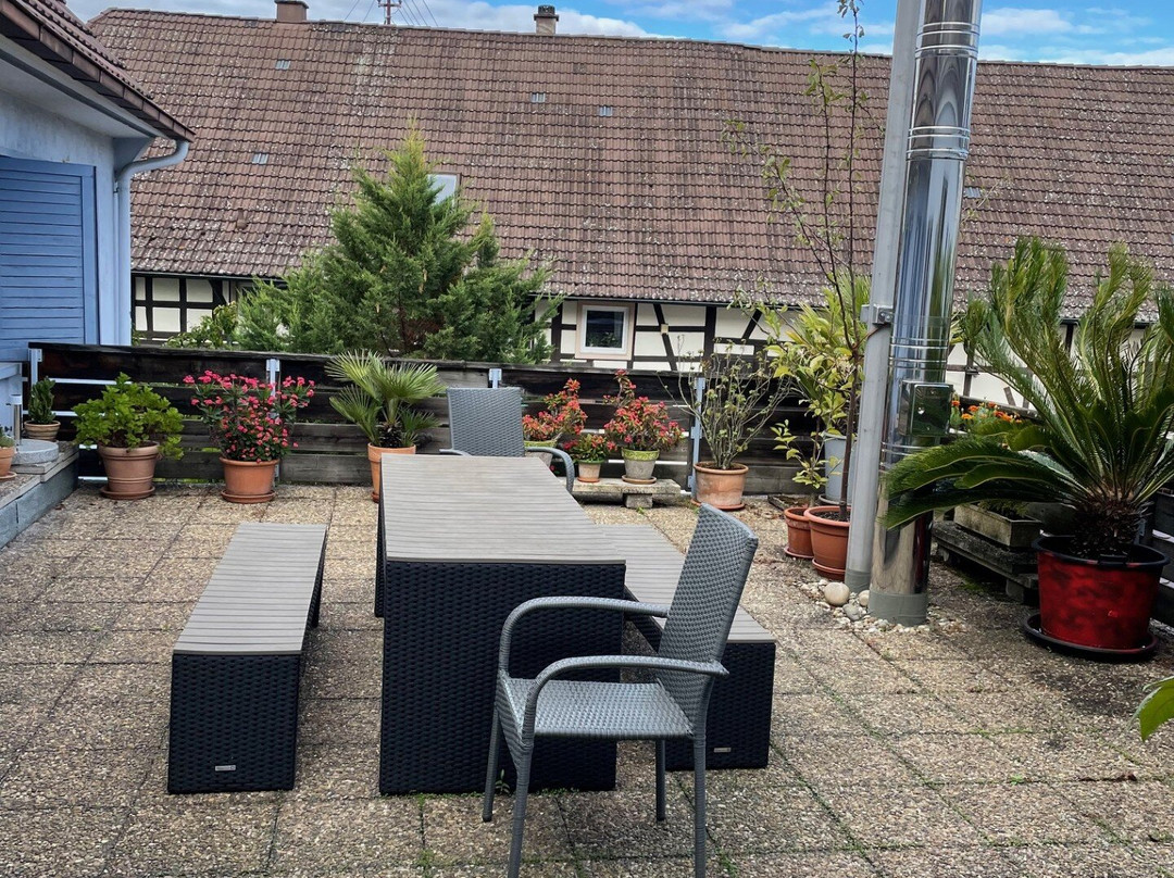 Gasthaus Hirsch Haueneberstein主图