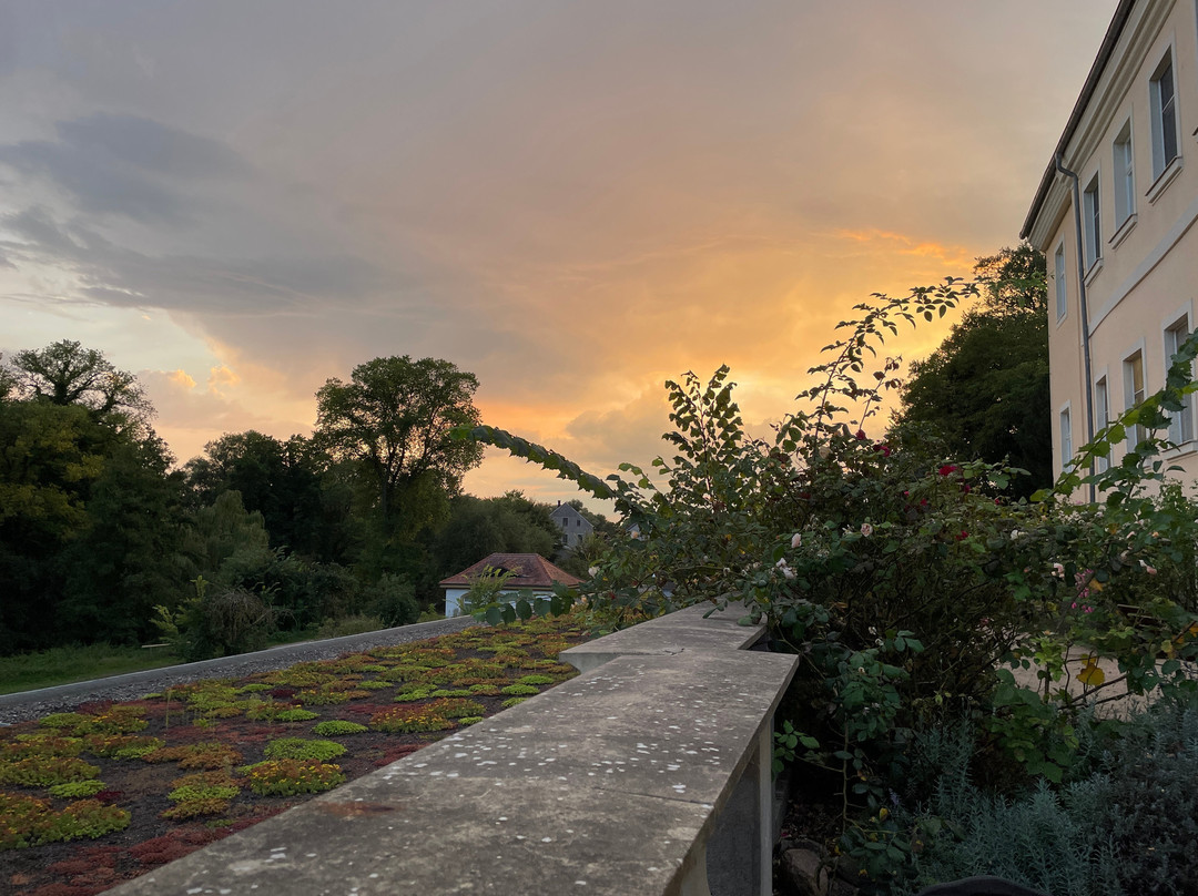 ahead burghotel主图