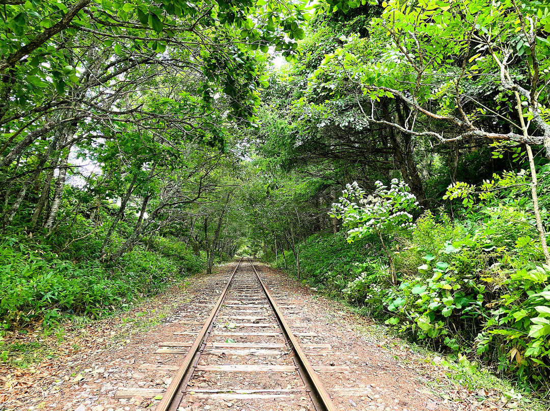 Old Okuyukiusu Station