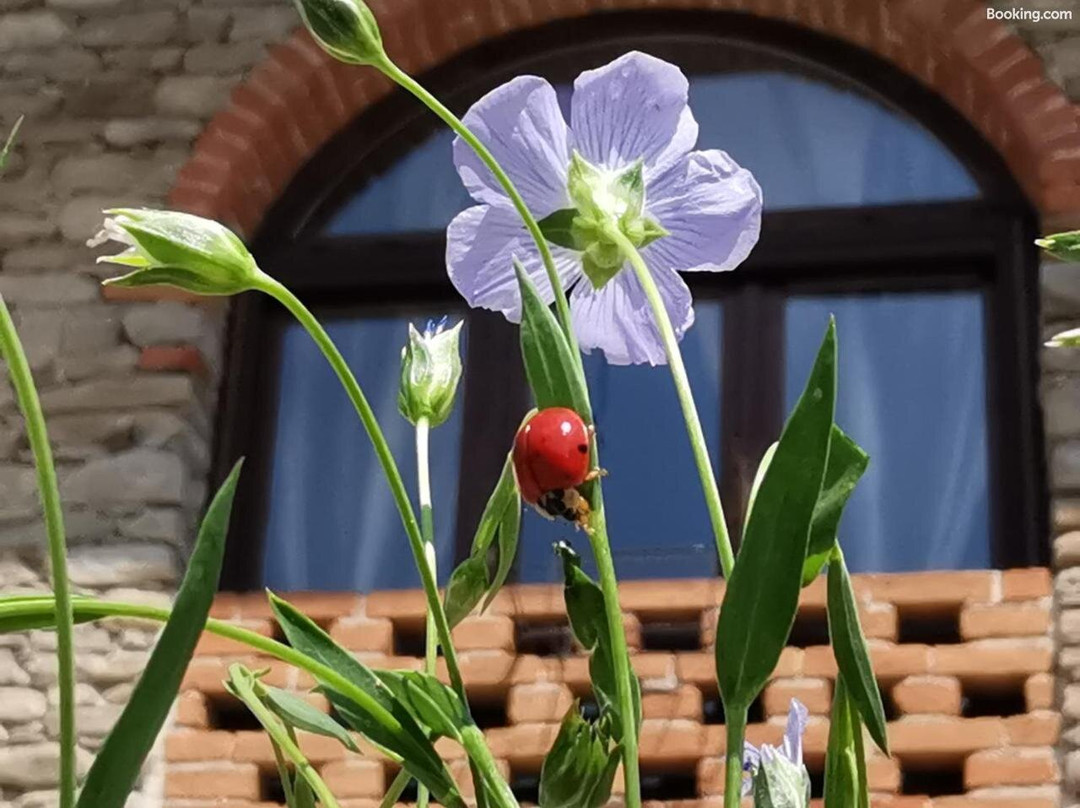 Agriturismo Mondo主图