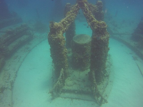 Tarpoon Lagoon Dive Center-迈阿密海滩必去景点
