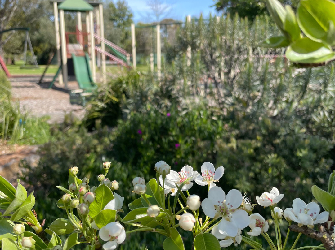 Birch Place Playground-塞尔必去景点