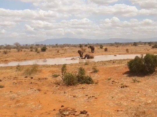 My Price Africa Adventure-蒙巴萨必去景点