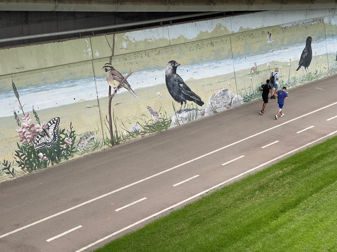 Parque Fluvial del Besos-Montcada i Reixac必去景点