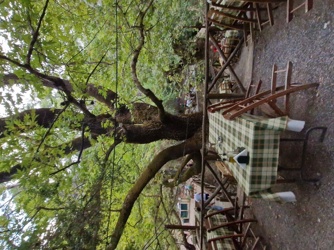 Seven Springs Winery景点图片