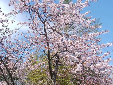 Nenohi Park-厚岸町必去景点