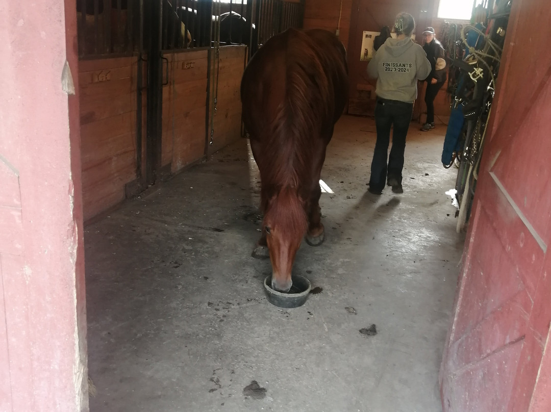 Camping et Ferme Pégasus主图