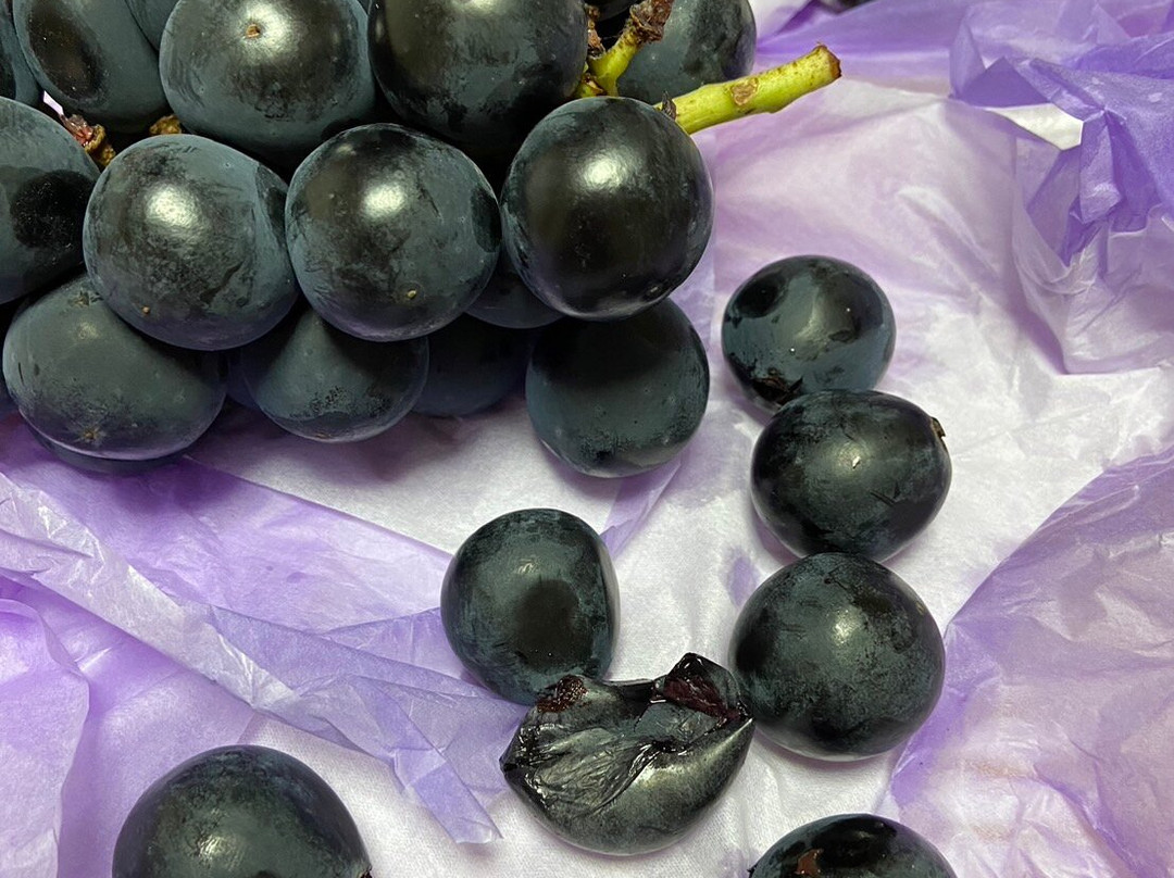 Kodaira Sakaya Farm-千曲市必去景点