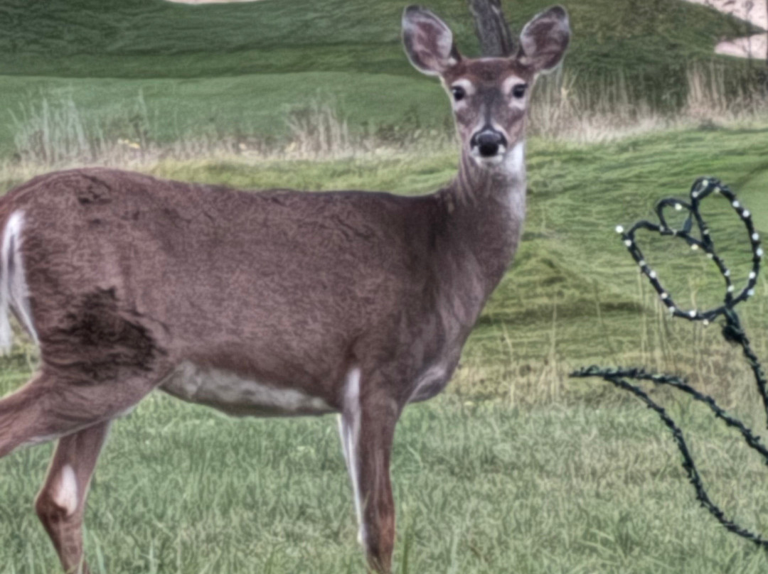 Speidel Golf Club-Wheeling必去景点