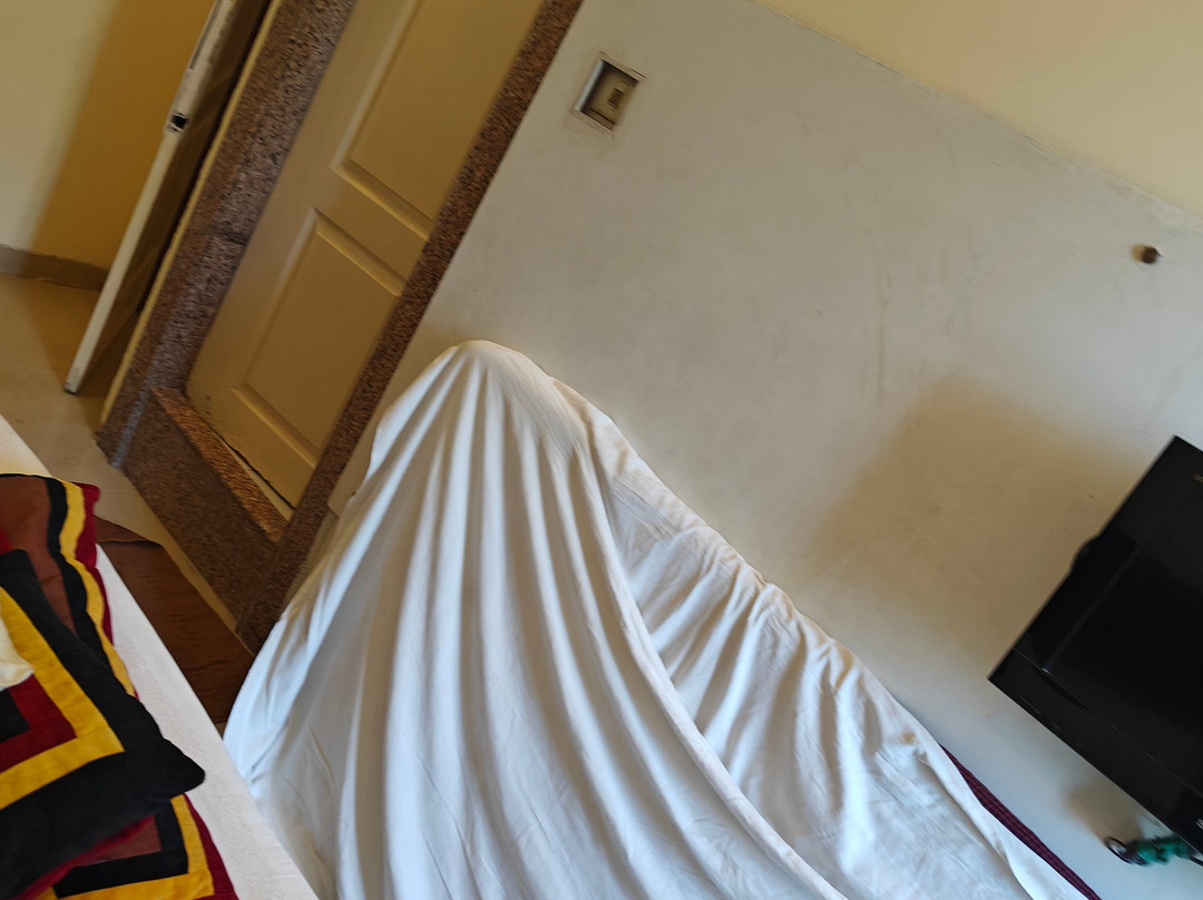 Hotel Welcome Inn主图