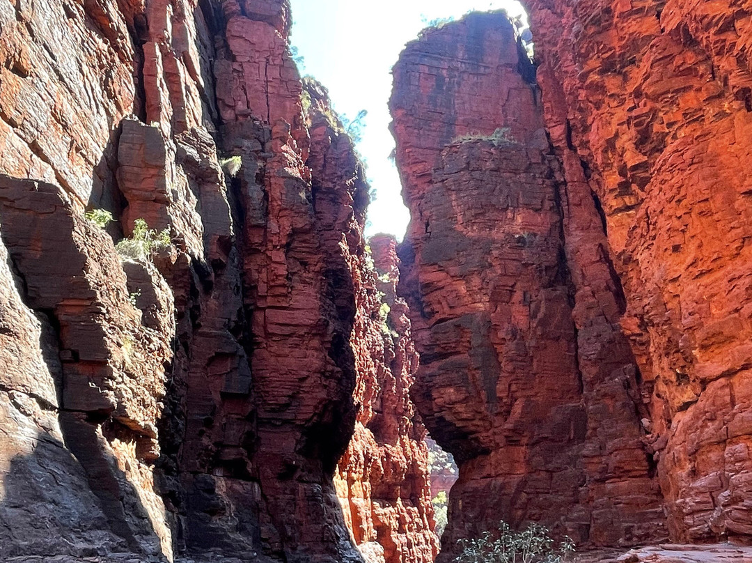 The Flying Sandgroper-Karijini National Park必去景点