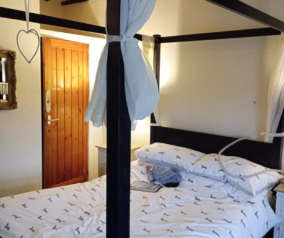 Windmill Court Hotel主图