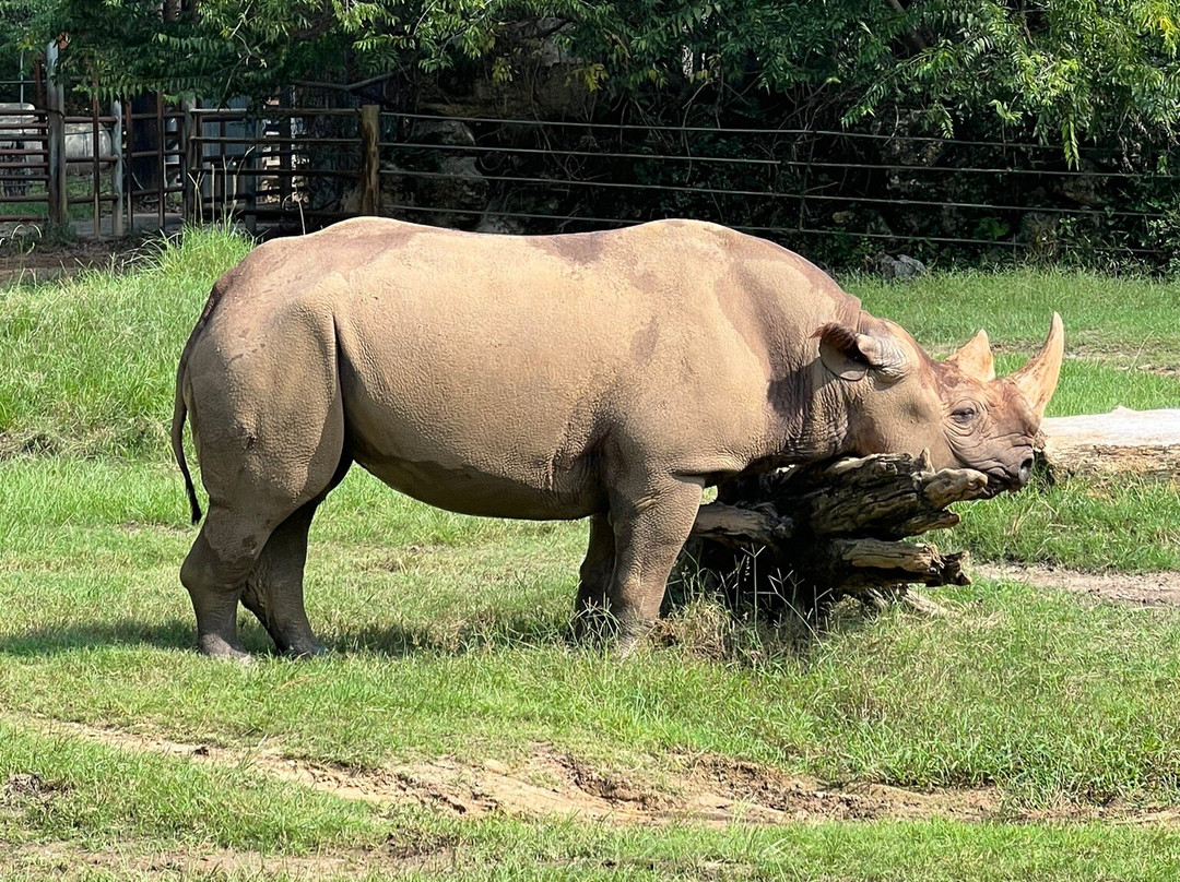 Chehaw Park & Zoo-奥尔巴尼必去景点