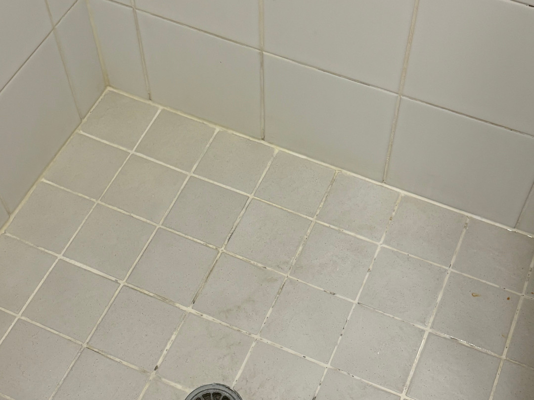 罗默布里斯班酒店 - 前布里斯班赛琳娜旅舍主图