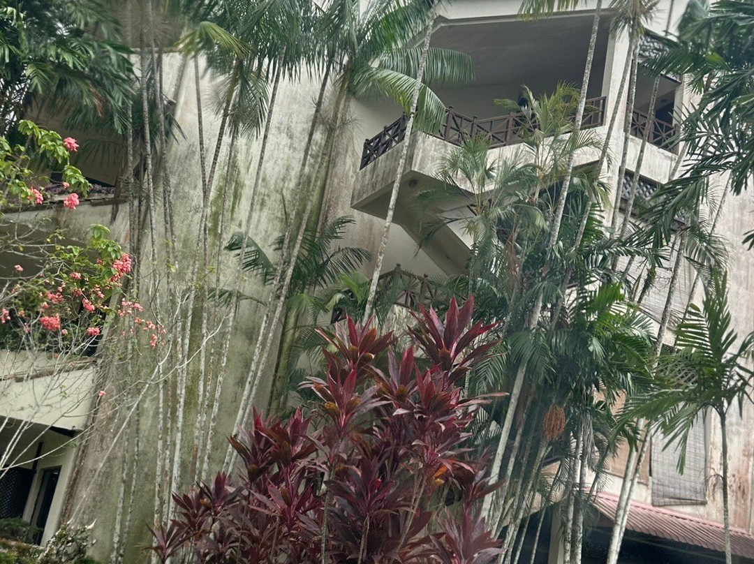 乐俊宏新山棕榈度假酒店主图