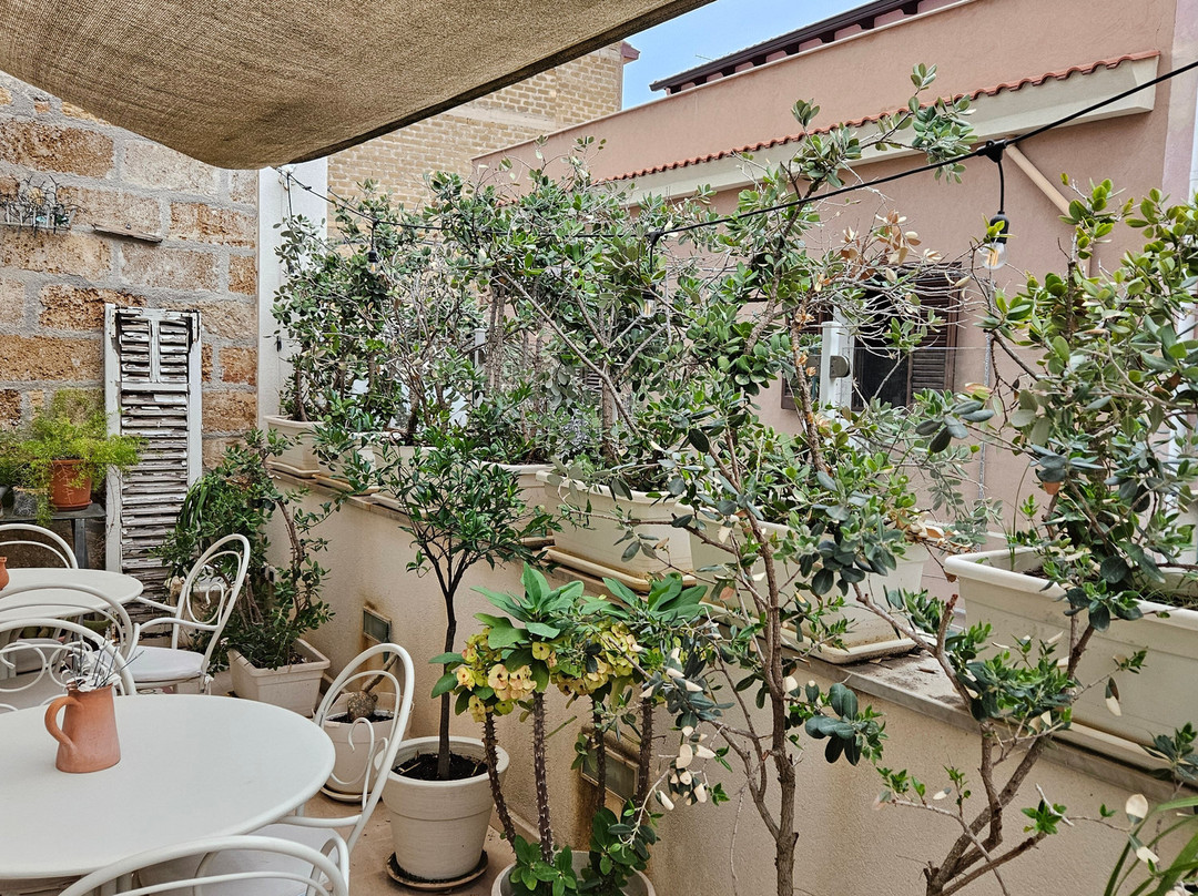 TAM Casa Vacanze主图