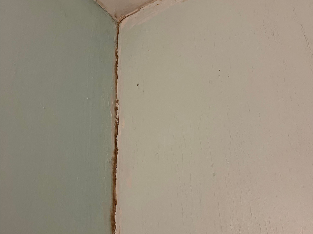 The Hotel Conneaut主图