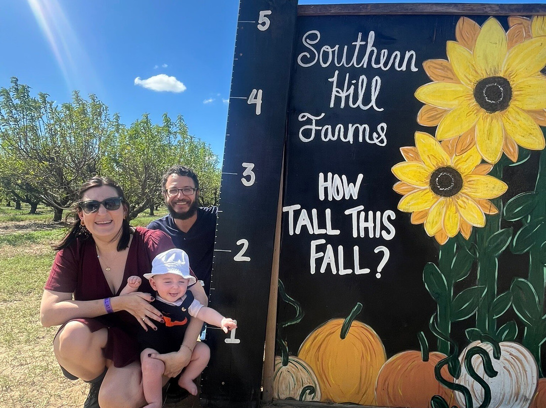 Southern Hill Farms-Clermont必去景点