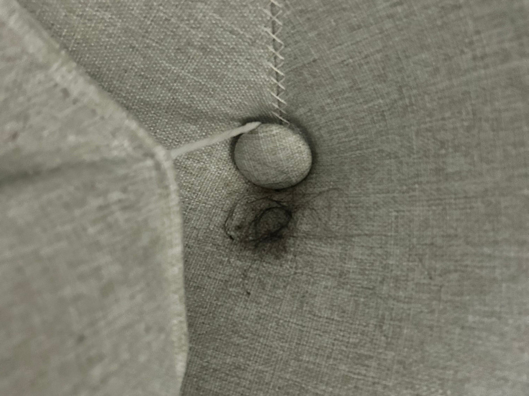 Wingate by Wyndham Ridgeland主图