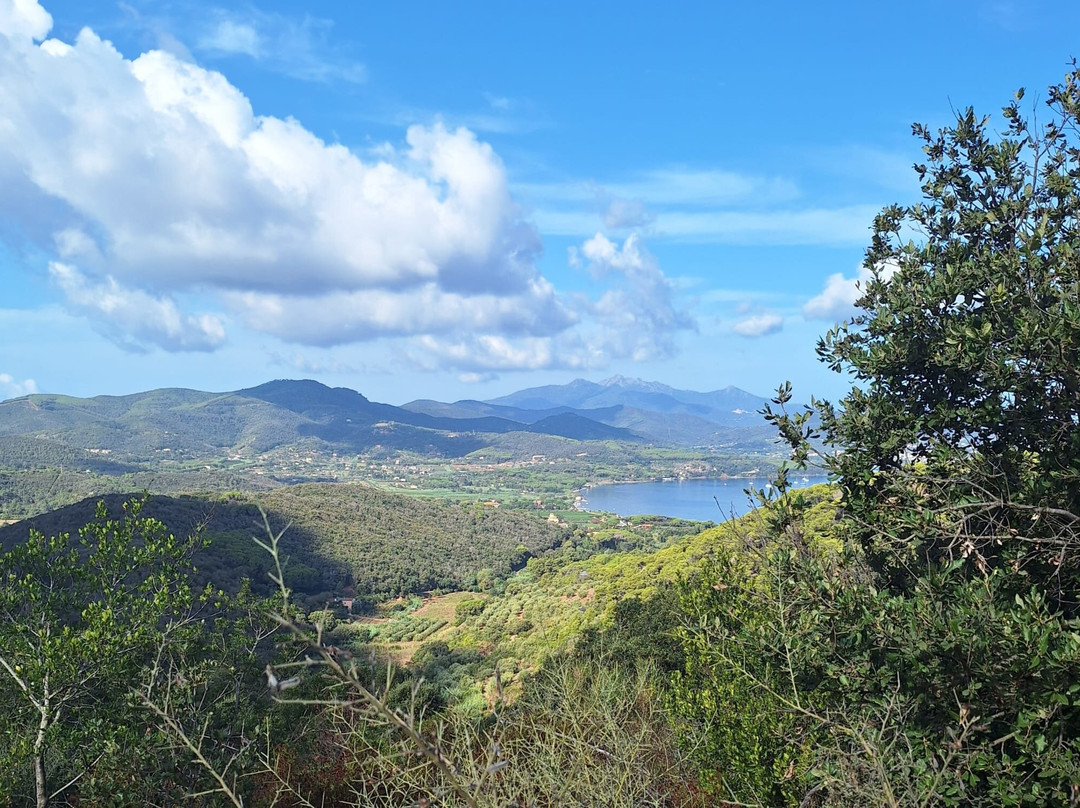 Castello del Volterraio景点图片