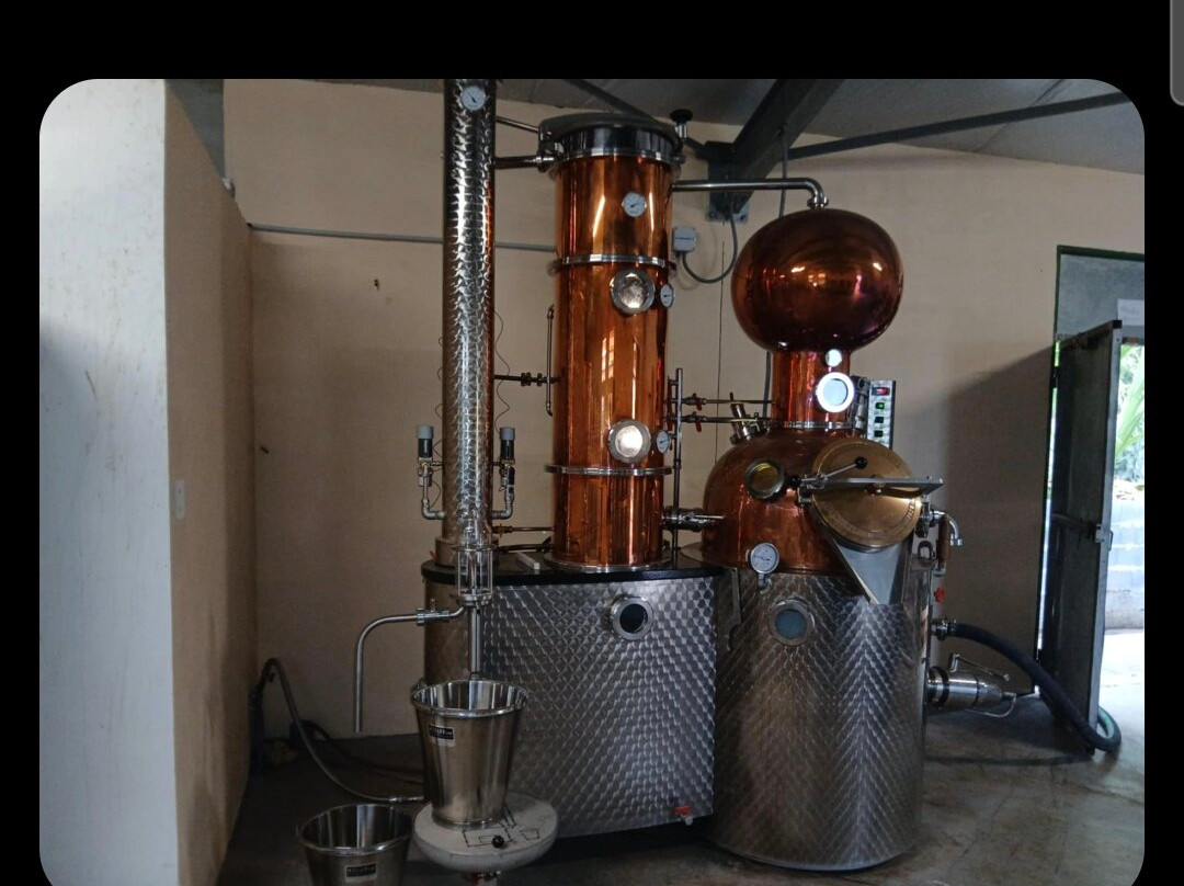 La Part des Anges - Distillation景点图片