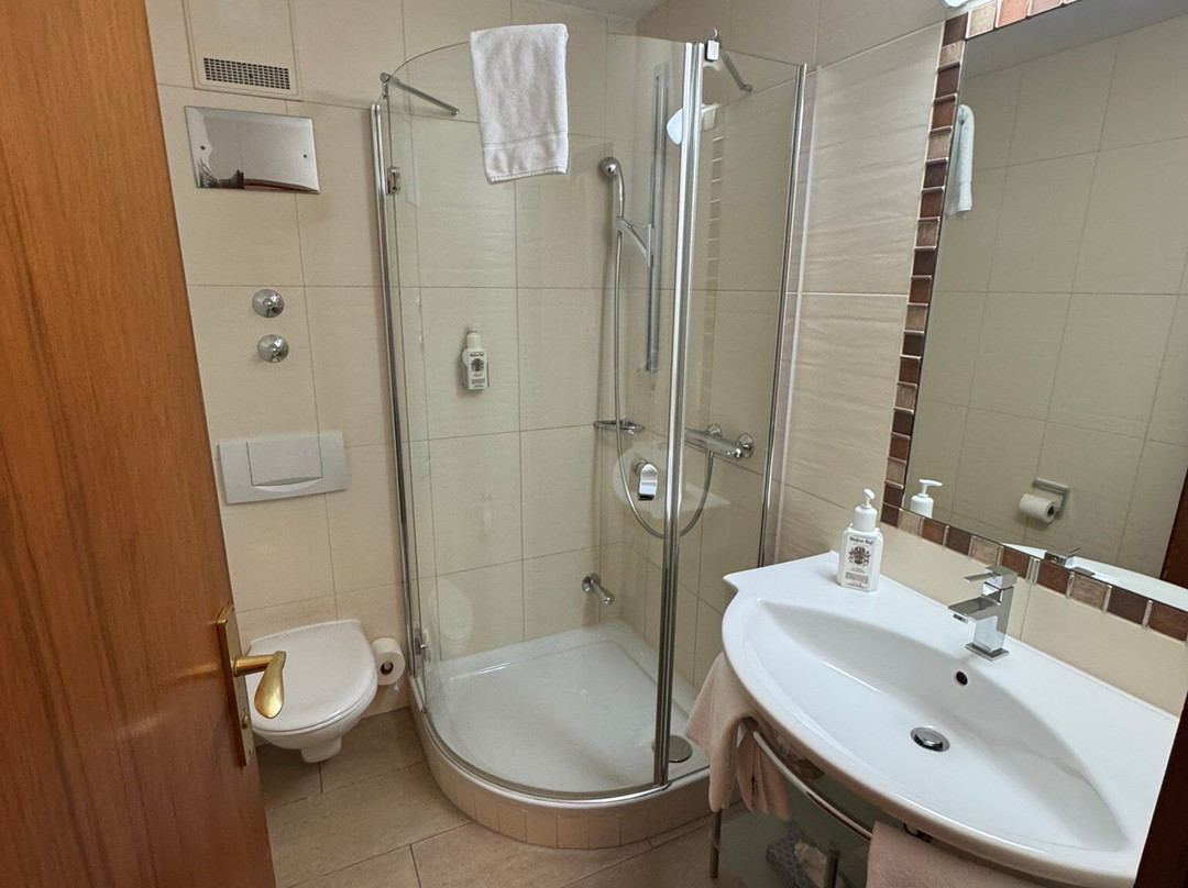 Hotel Wessner Hof主图