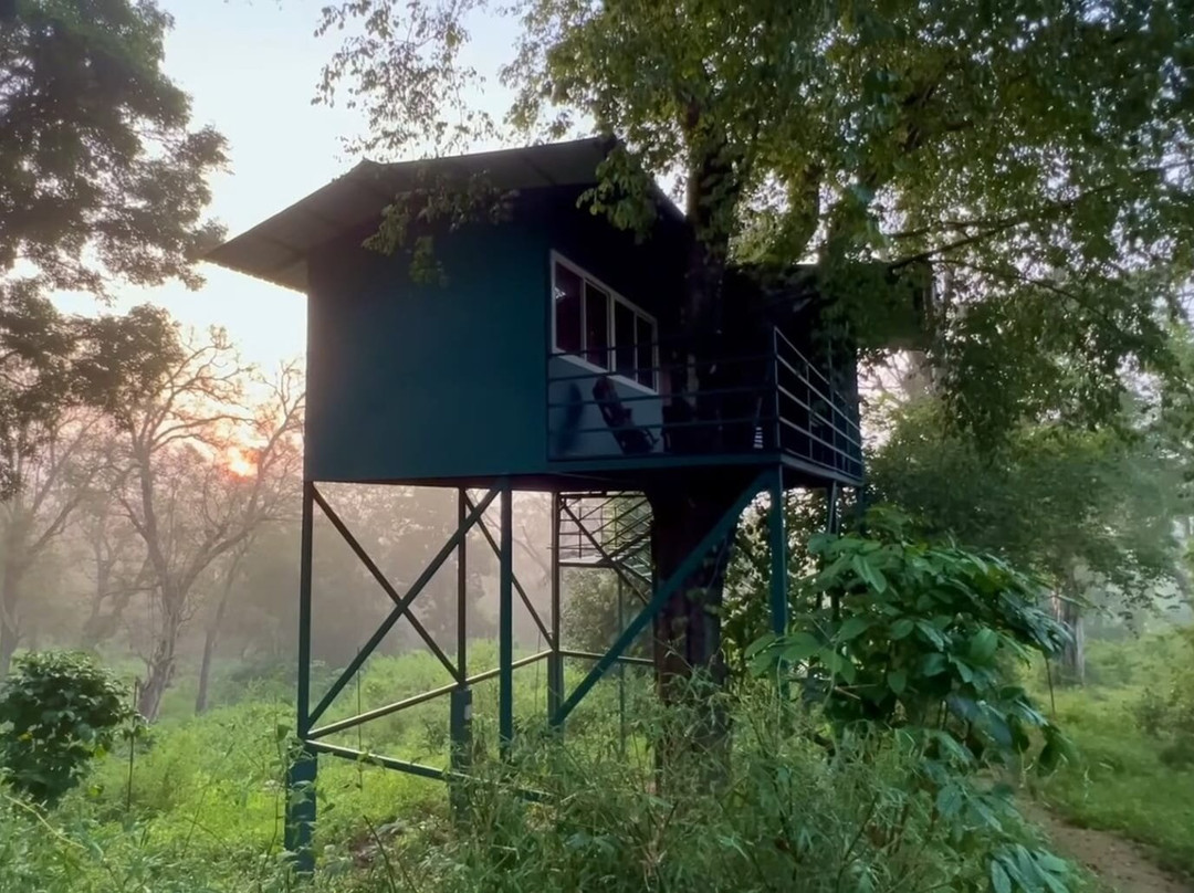 Wayanad Treehouse