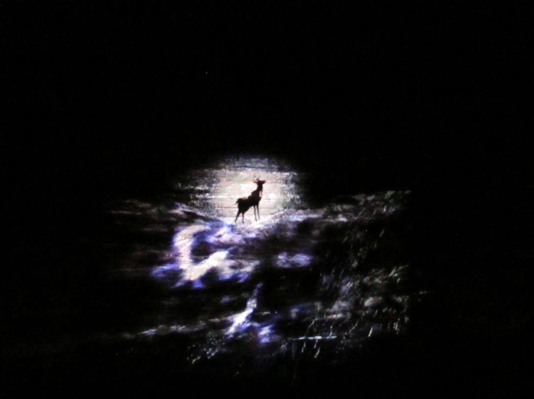 Aquavia Lumina景点图片