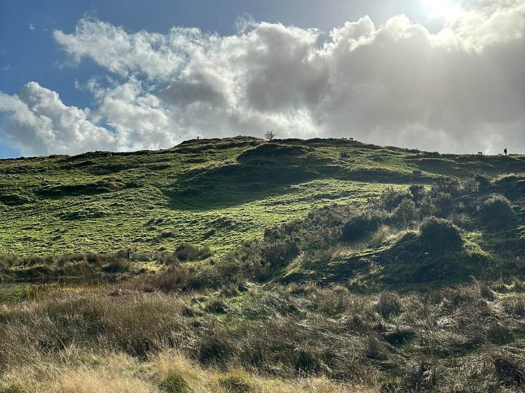 Brant Fell Above the Bustle景点图片