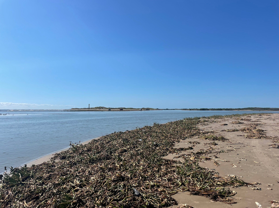 Boca Chica State Park-布朗斯维尔必去景点