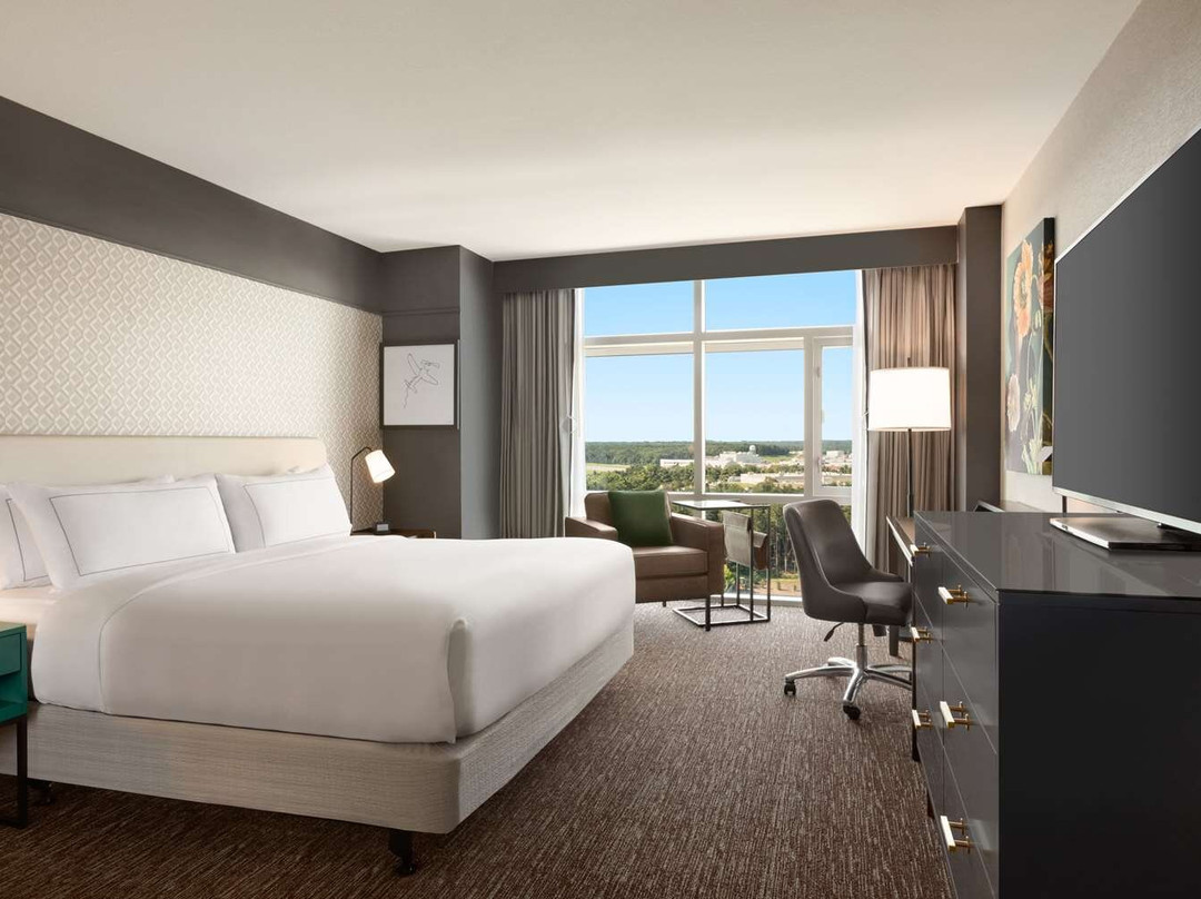 马里兰酒店住宿-Hilton Baltimore BWI Airport