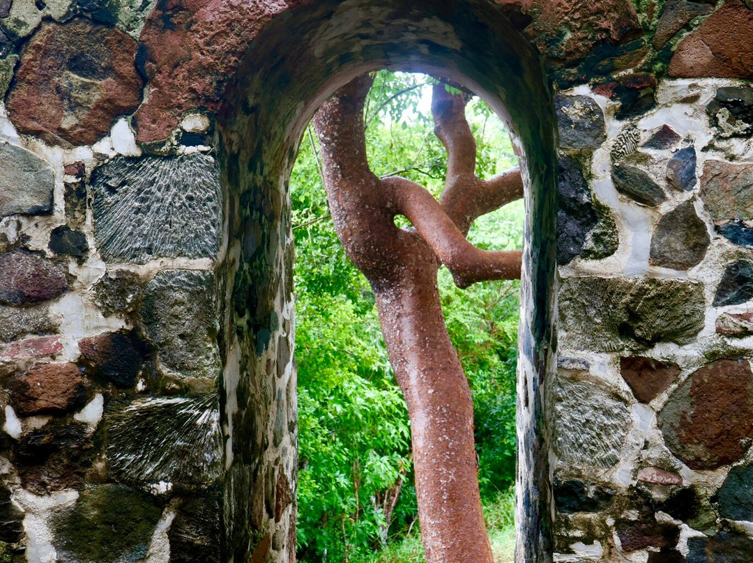 Catherineberg Ruins-圣约翰必去景点