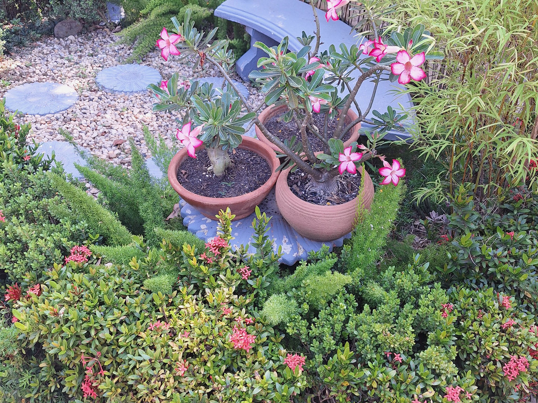 Pousada Estrela da Manha主图