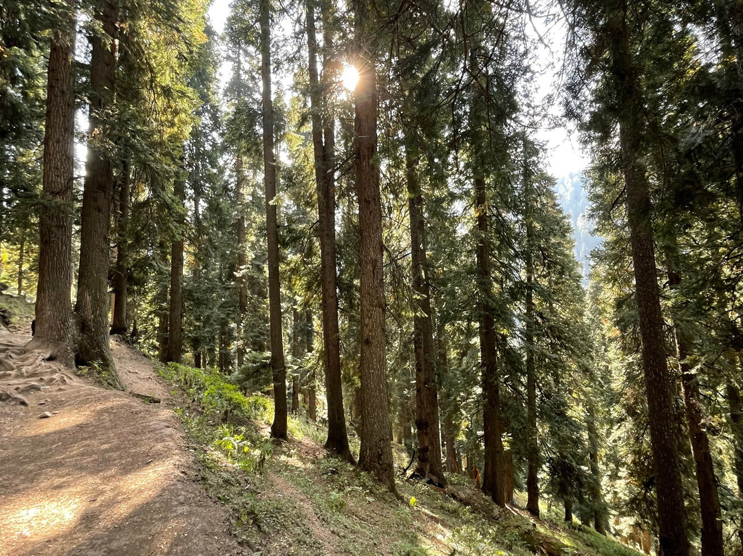 Wildfun Adventure Treks & Tours-帕哈甘必去景点