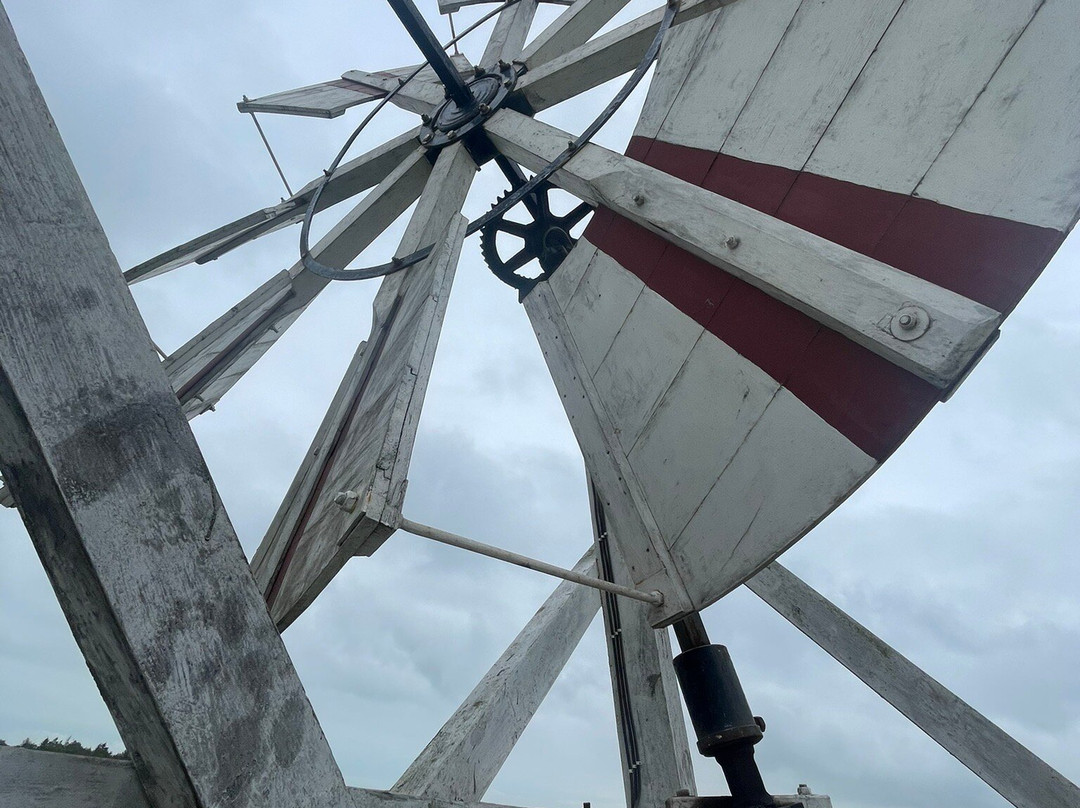 Horsey Windpump景点图片
