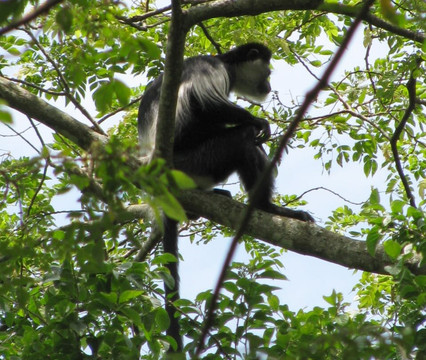 Africa Sustainable Journeys-恩德培必去景点