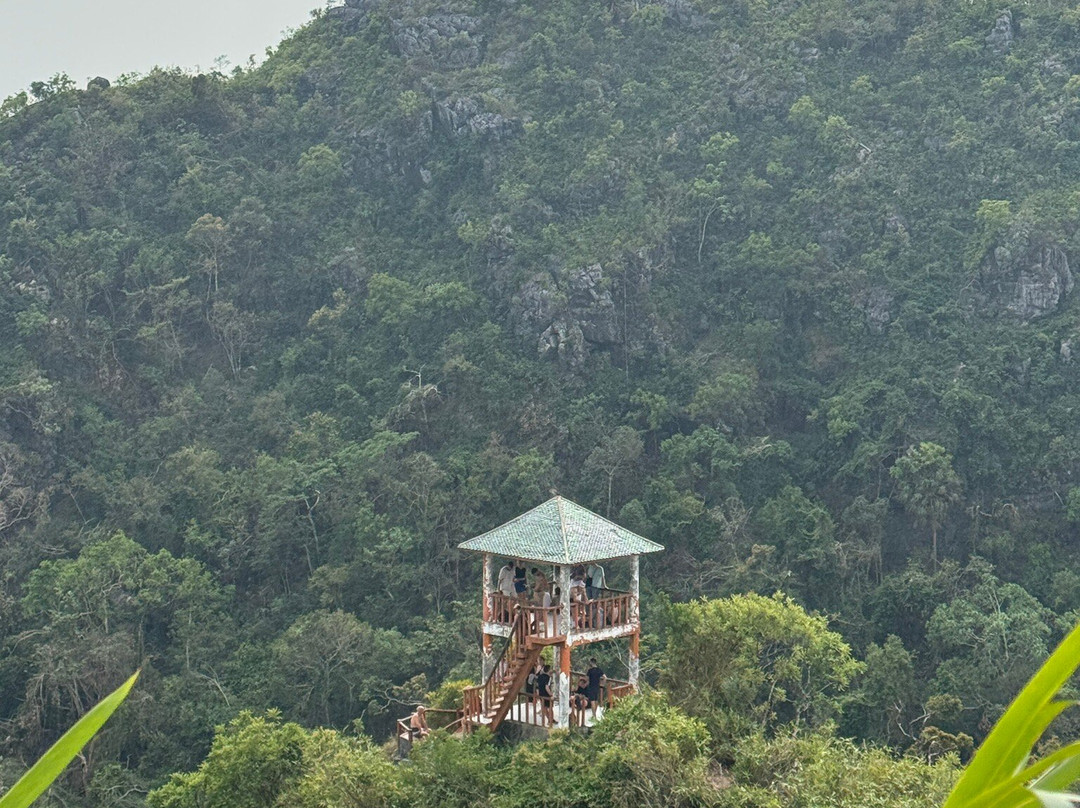 Windy Hill Catba Homestay主图