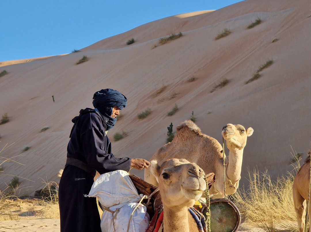 Memo Trotter-Chinguetti必去景点